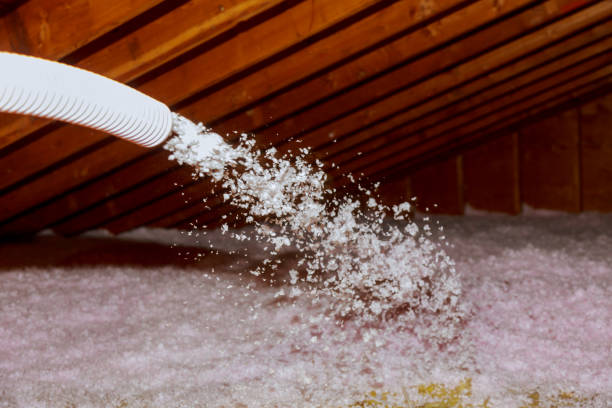 Best Fiberglass Insulation  in Great Bend, NY