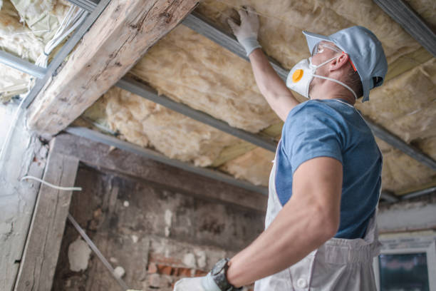 Best Professional Insulation Contractor  in Great Bend, NY