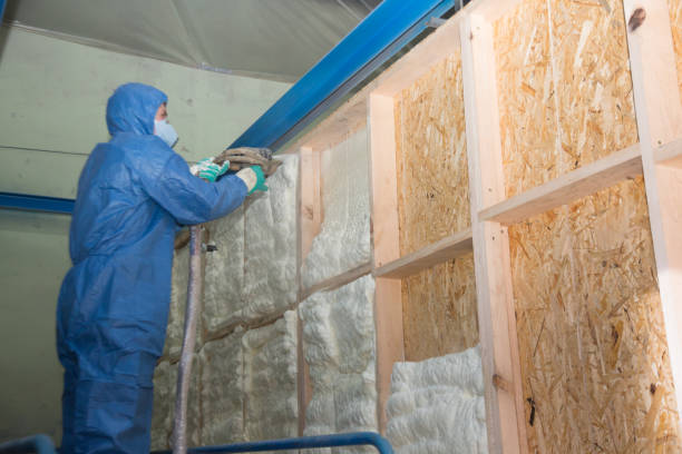 Best Attic Insulation Installation  in Great Bend, NY